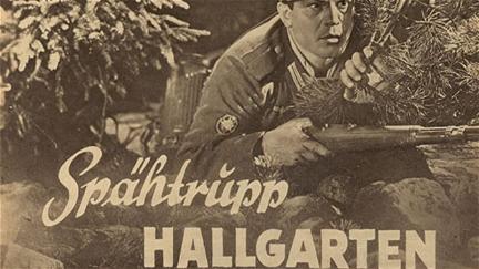 Spähtrupp Hallgarten poster