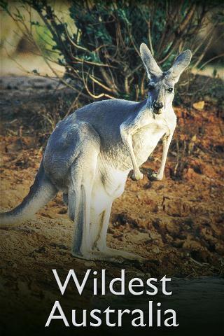Wildest Australia poster