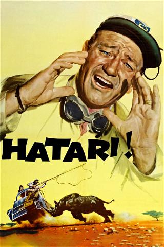 Hatari poster