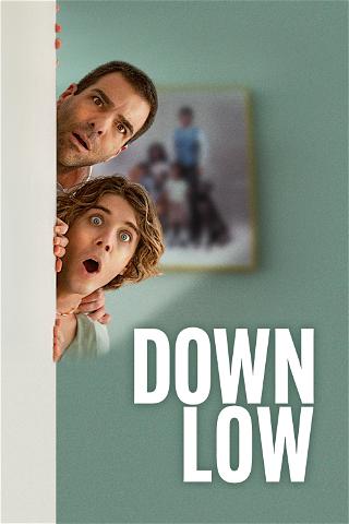 Down Low poster