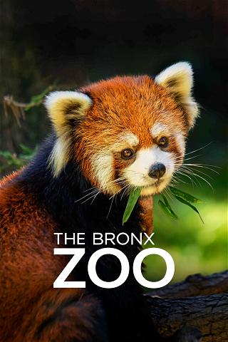 Bronx Zoo poster
