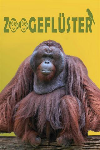 Zoogeflüster poster