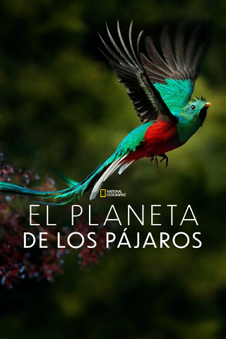 El Planeta de los Pájaros poster