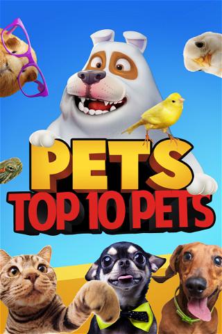 Pets: Top 10 Pets poster
