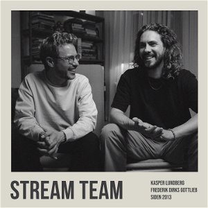 Stream Team poster