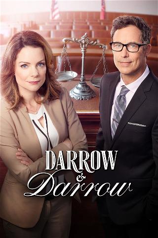 Darrow & Darrow : L'affaire des bijoux volés poster