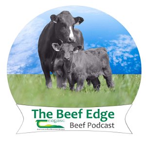 The Beef Edge poster
