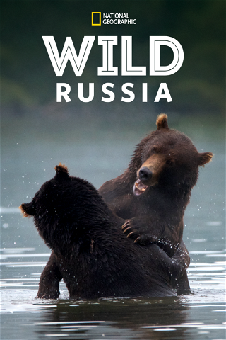 Wild Russia poster