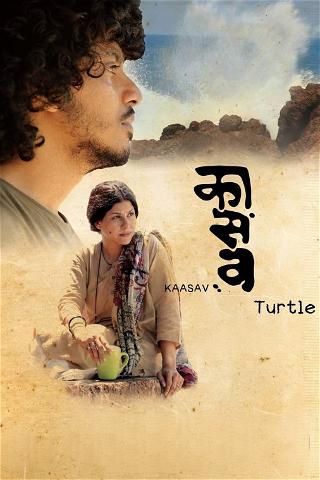 Kaasav: Turtle poster