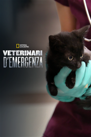 Veterinari d'emergenza poster