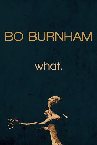 Bo Burnham: what. poster