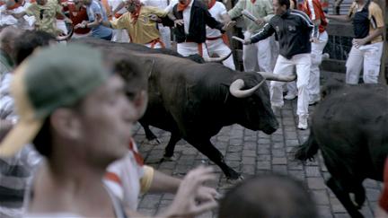 Bull Runners of Pamplona poster