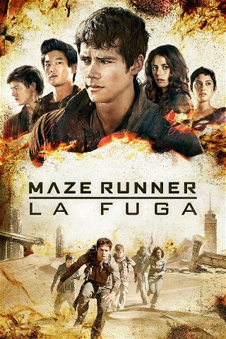 Maze Runner - La fuga poster