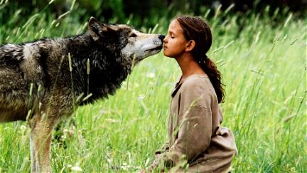L'Été des loups poster