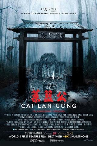 Cai Lan Gong poster