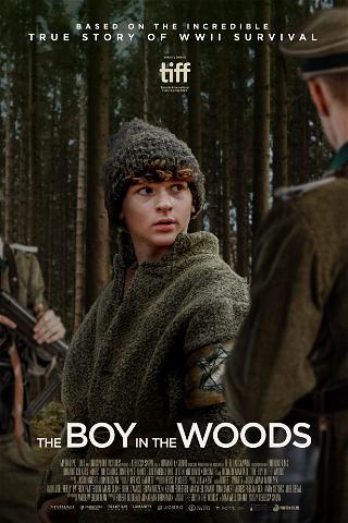 The Boy in the Woods poster