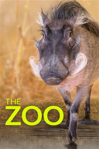 El zoo del Bronx poster