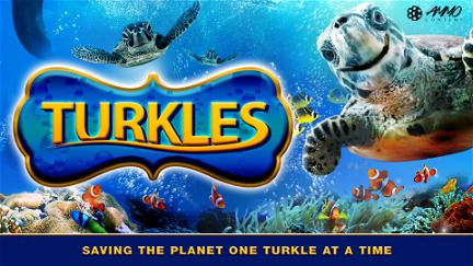 Turkles poster