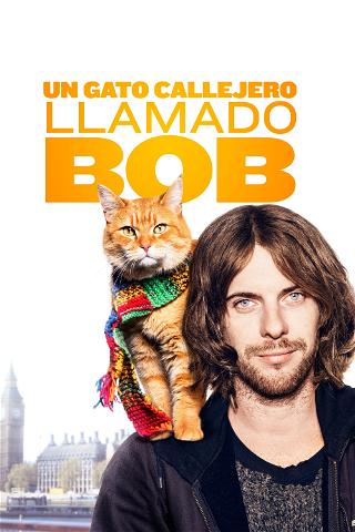 Un gato callejero llamado Bob poster