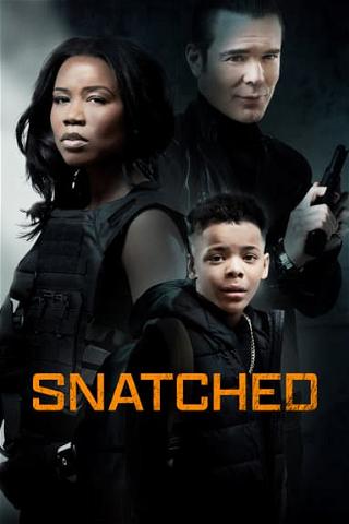 Snatched poster