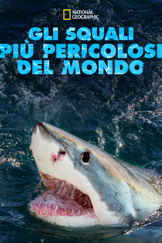 Gli squali più pericolosi del mondo poster