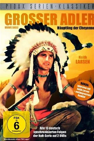 Großer Adler – Häuptling der Cheyenne poster