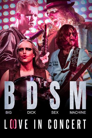 B.D.S.M. Love In Concert poster