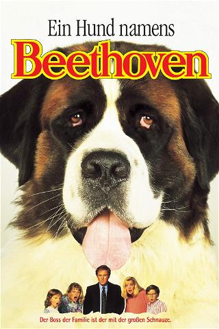 Ein Hund namens Beethoven poster