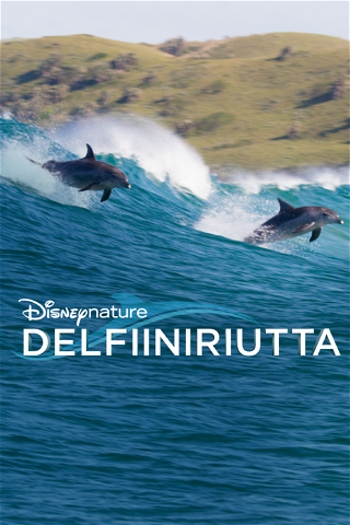 Disneynature: Delfiiniriutta poster