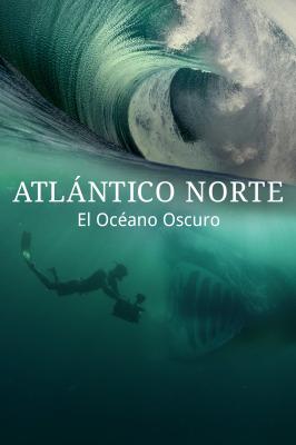 North Atlantic: The Dark Ocean poster