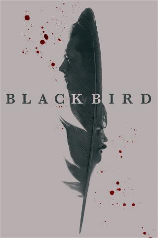 Black Bird poster
