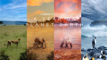 A Year On Planet Earth poster