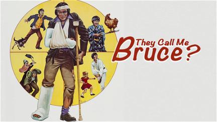 They Call Me Bruce? poster