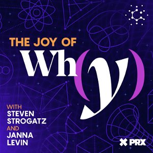 The Joy of Why poster