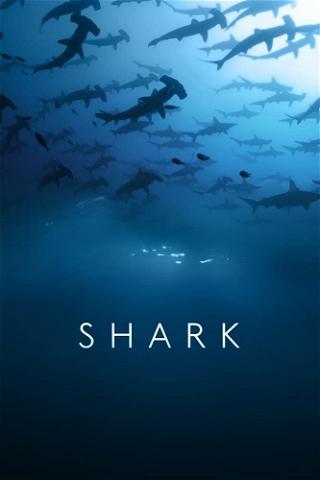 Tiburones poster