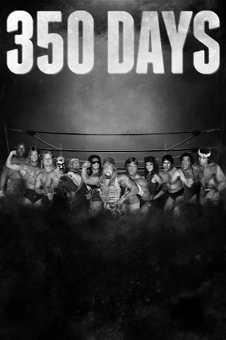 350 Days poster