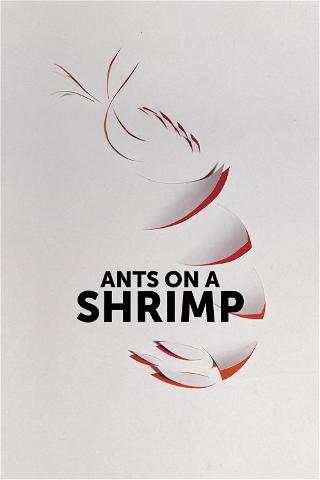 Ants on a Shrimp poster