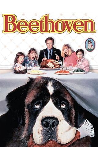 Beethoven - O Magnífico poster