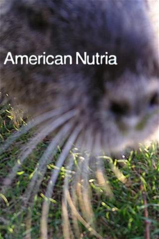 American Nutria poster