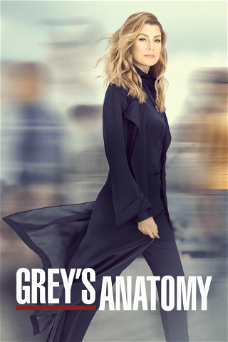 Dre Grey, leçons d'anatomie poster