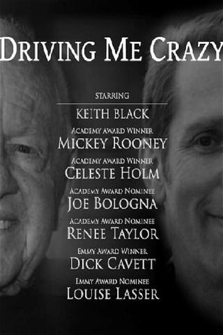 Driving Me Crazy poster