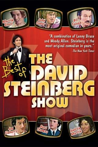 The David Steinberg Show poster