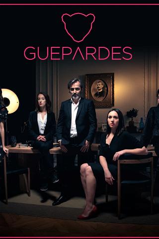 Guépardes poster