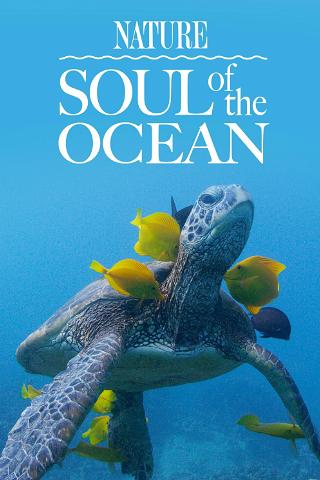 Soul of the Ocean poster