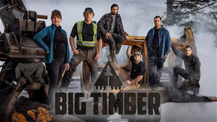 Big Timber poster