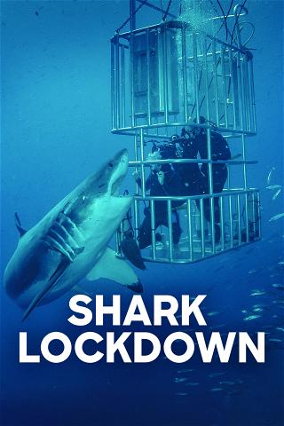 Shark Lockdown poster