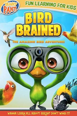 Bird Brained poster