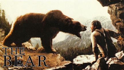 L'orso poster
