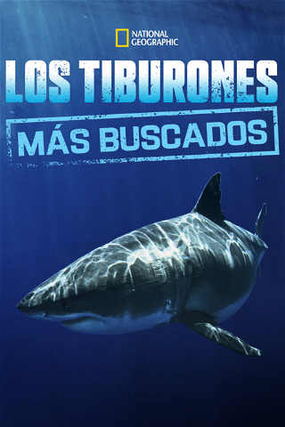 Los tiburones más buscados poster