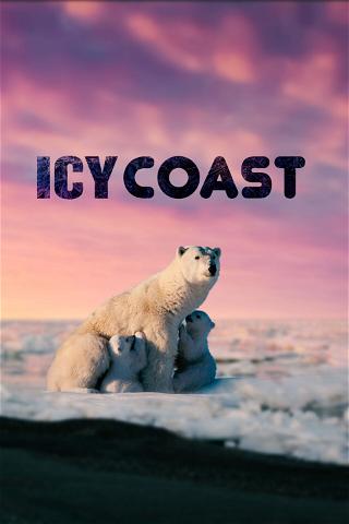 Icy Coast poster